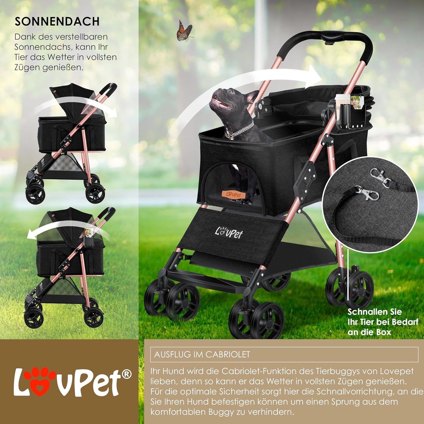 Hundewagen, Schwarz