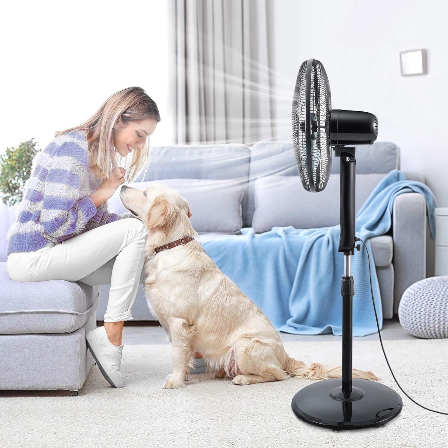 Standventilator FS40-15FR mit Fernbedienung, 5 Flügelblätter, schwarz