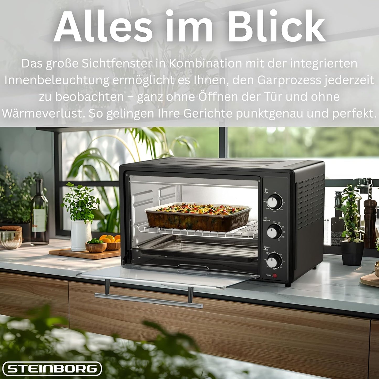 Mini-Umluftofen mit Drehspiess