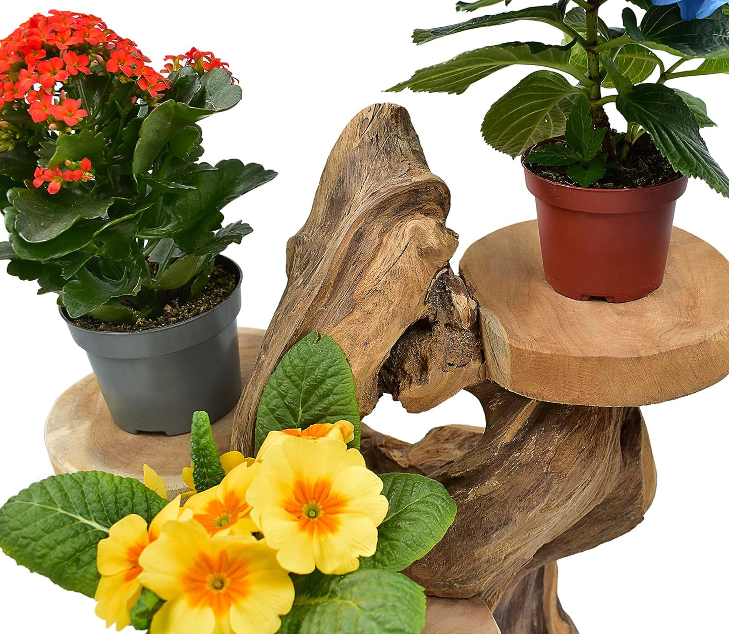 Blumenhocker