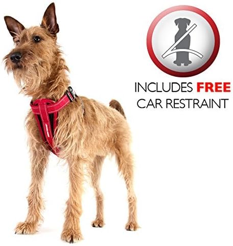 Hundegeschirr mit Sicherheitsgurt, XS Black