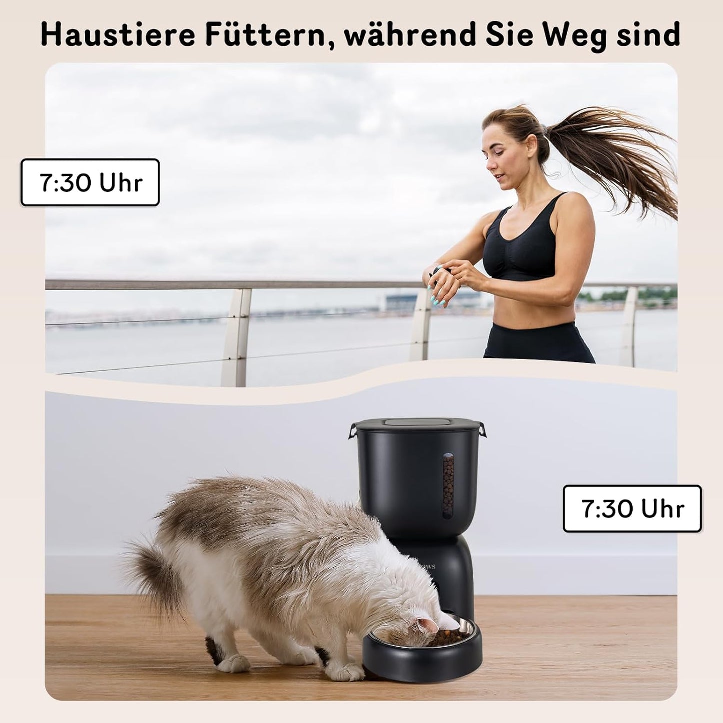 Katzenfutter- und Wasserspender FW1 mit Timer, Black
