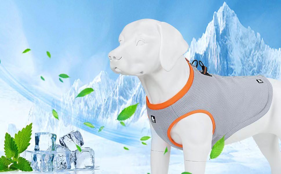 Kühlweste für Hunde, M(1er Pack)|Grün