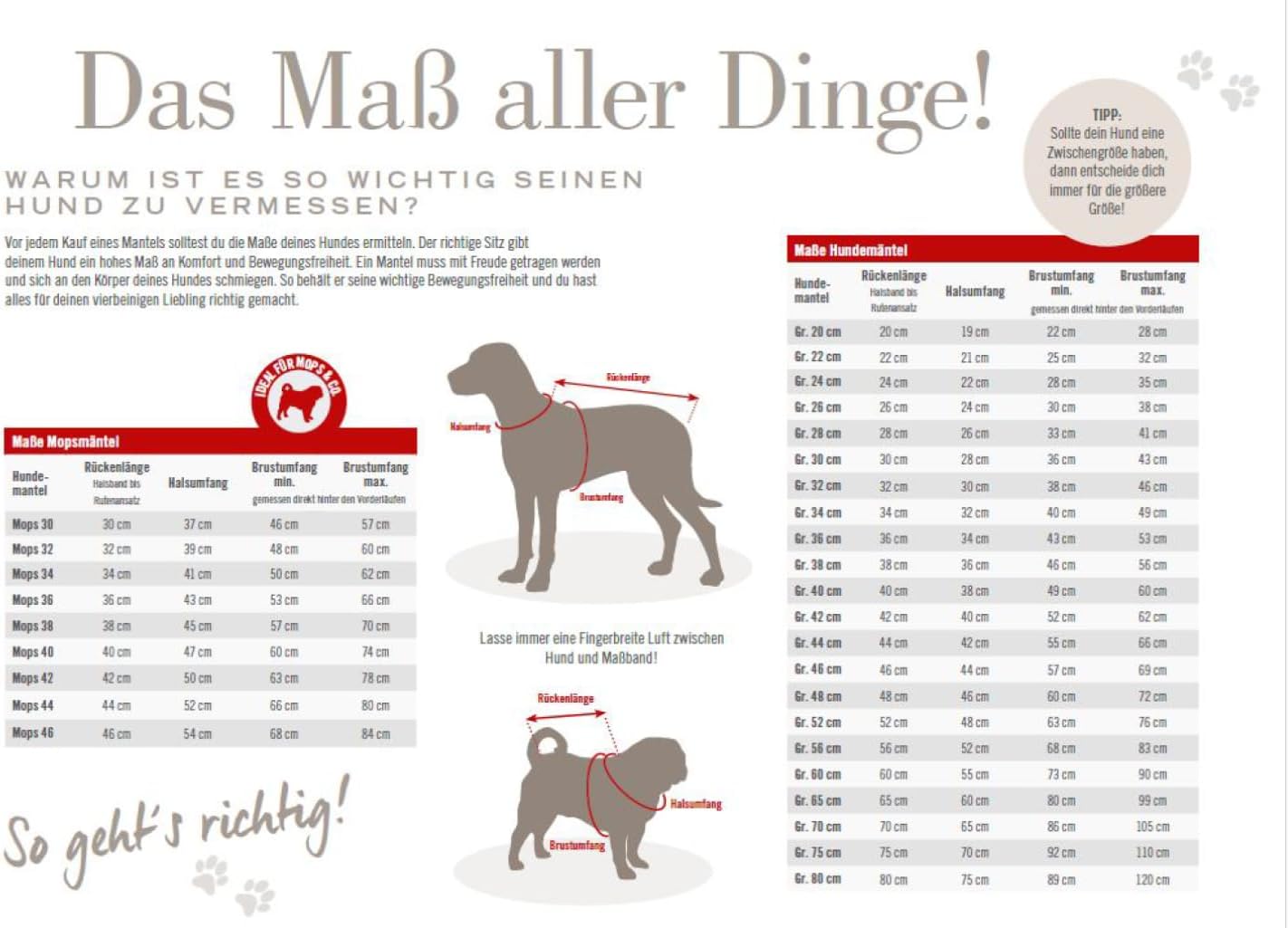 Regenjacke für Hunde, Dunkelrot Gr. 24 (24-26 cm)