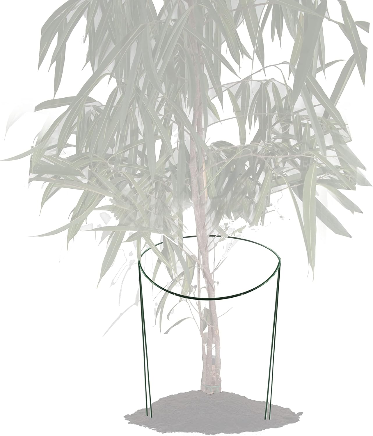 10er-Set Halbrunde Pflanzenstütze, 10 35 cm hoch - halbrund