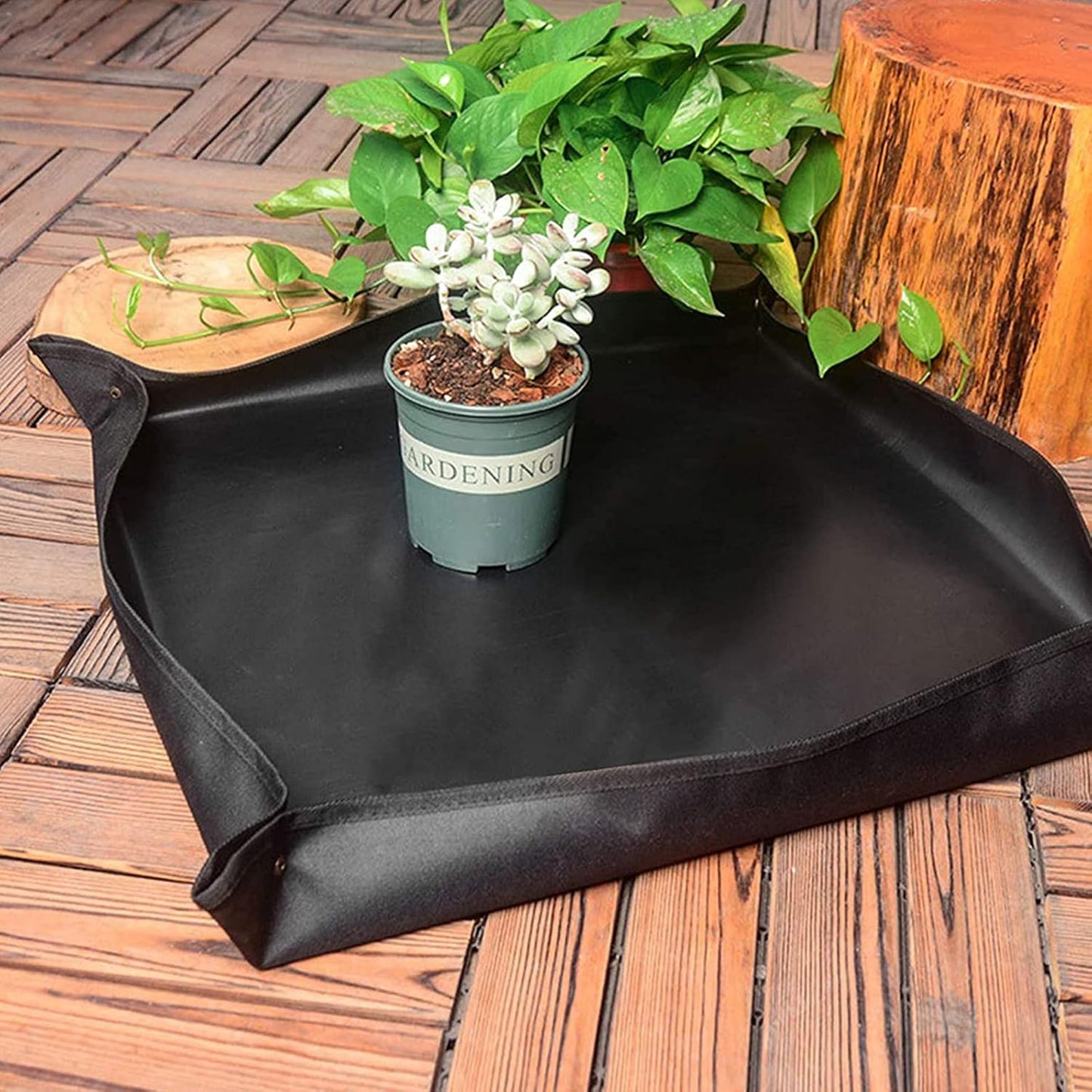 14-teiliges Sukkulenten-Werkzeugset, 14 Pcs Schwarz