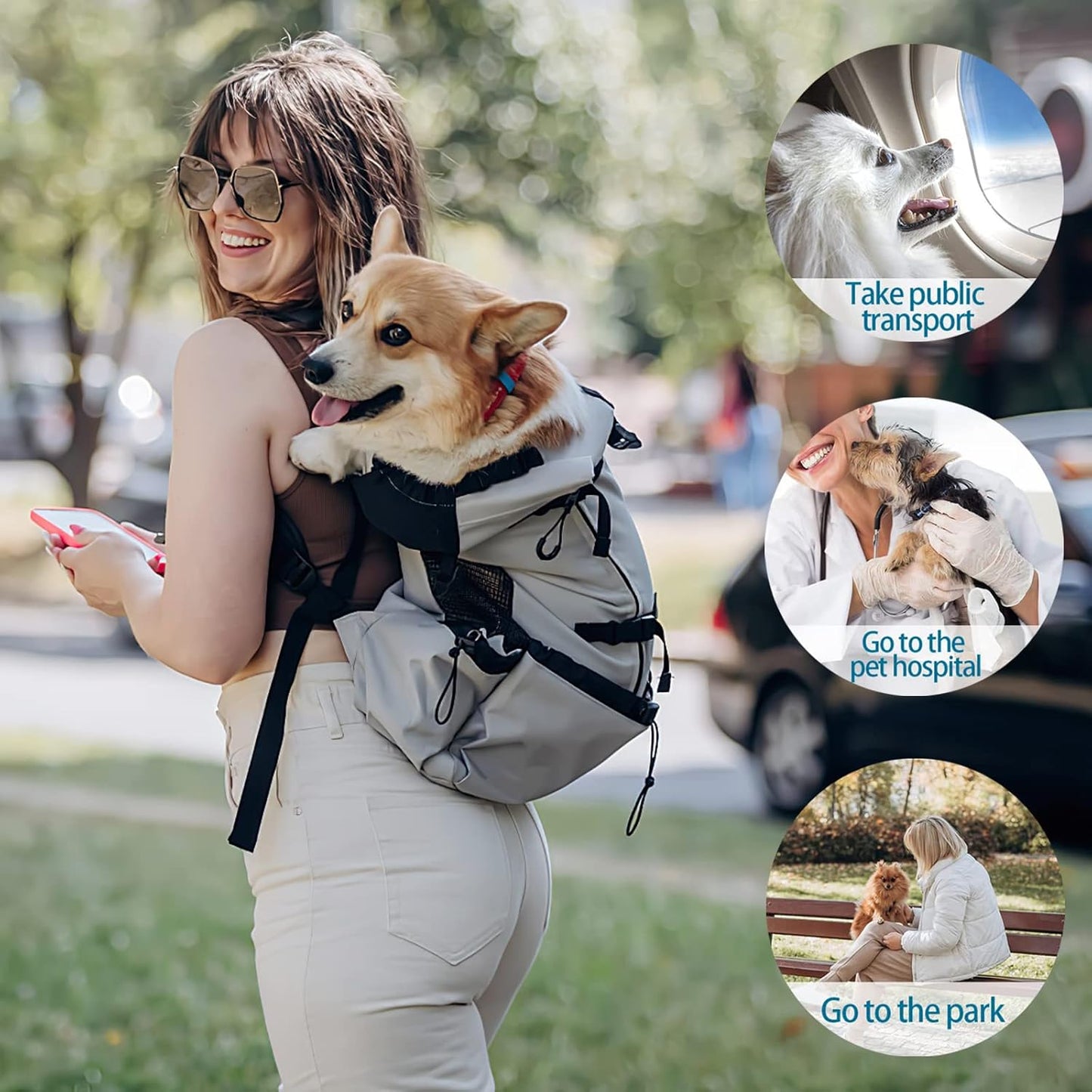 Hundetragerucksack für Outdoor-Aktivitäten, M Schwarz
