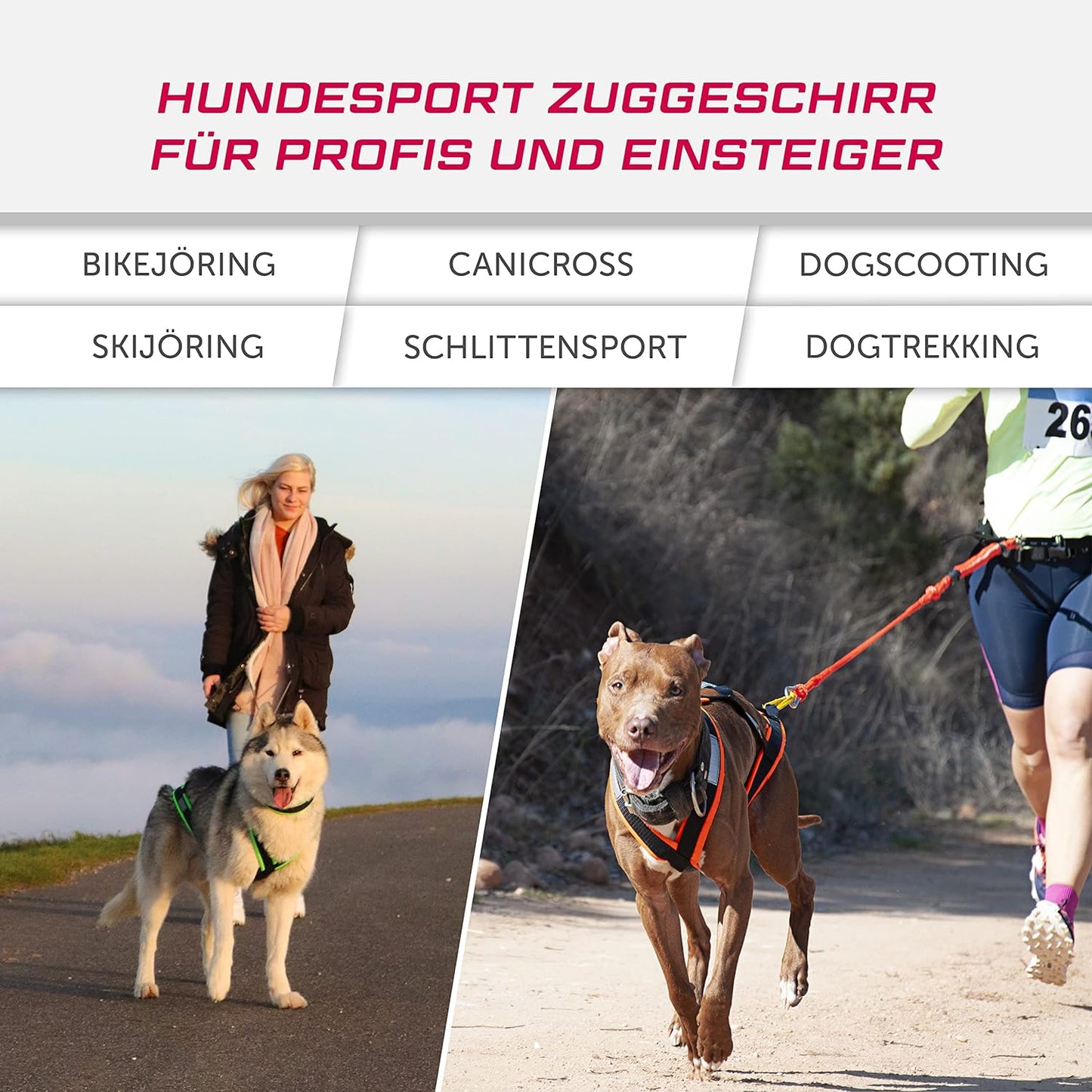 Zuggeschirr, M