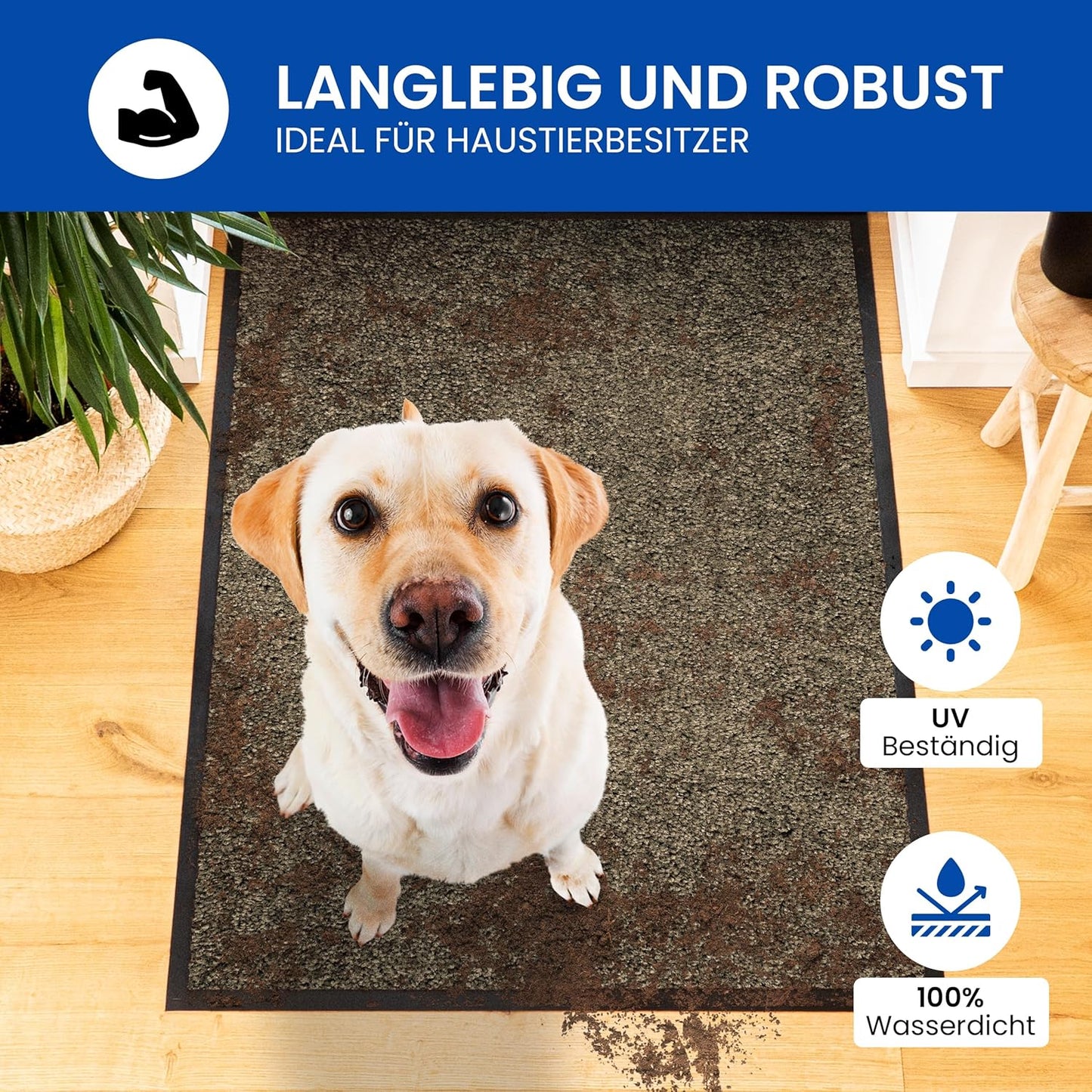 Rutschfeste Schmutzfangmatte 80x120cm, 80x120 Beige