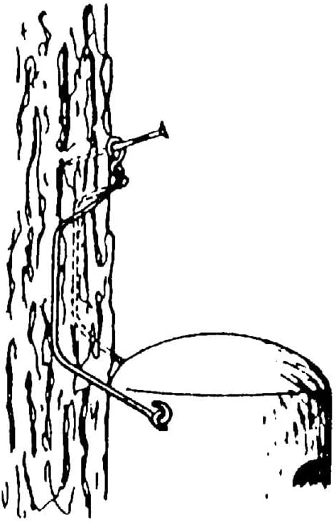 Fledermaus Nistkasten 2FN