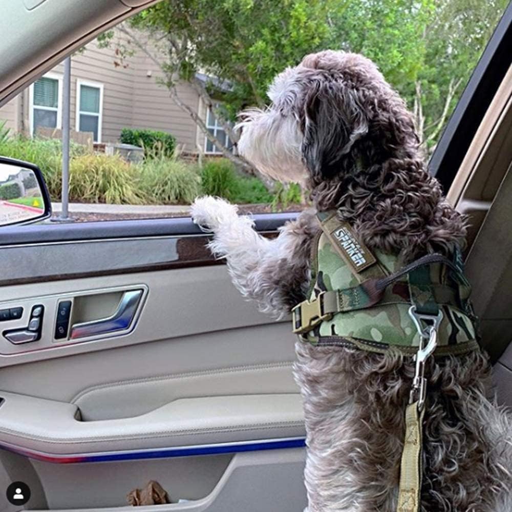 Taktisches Hundegeschirr für Training und Service, S / Camouflage