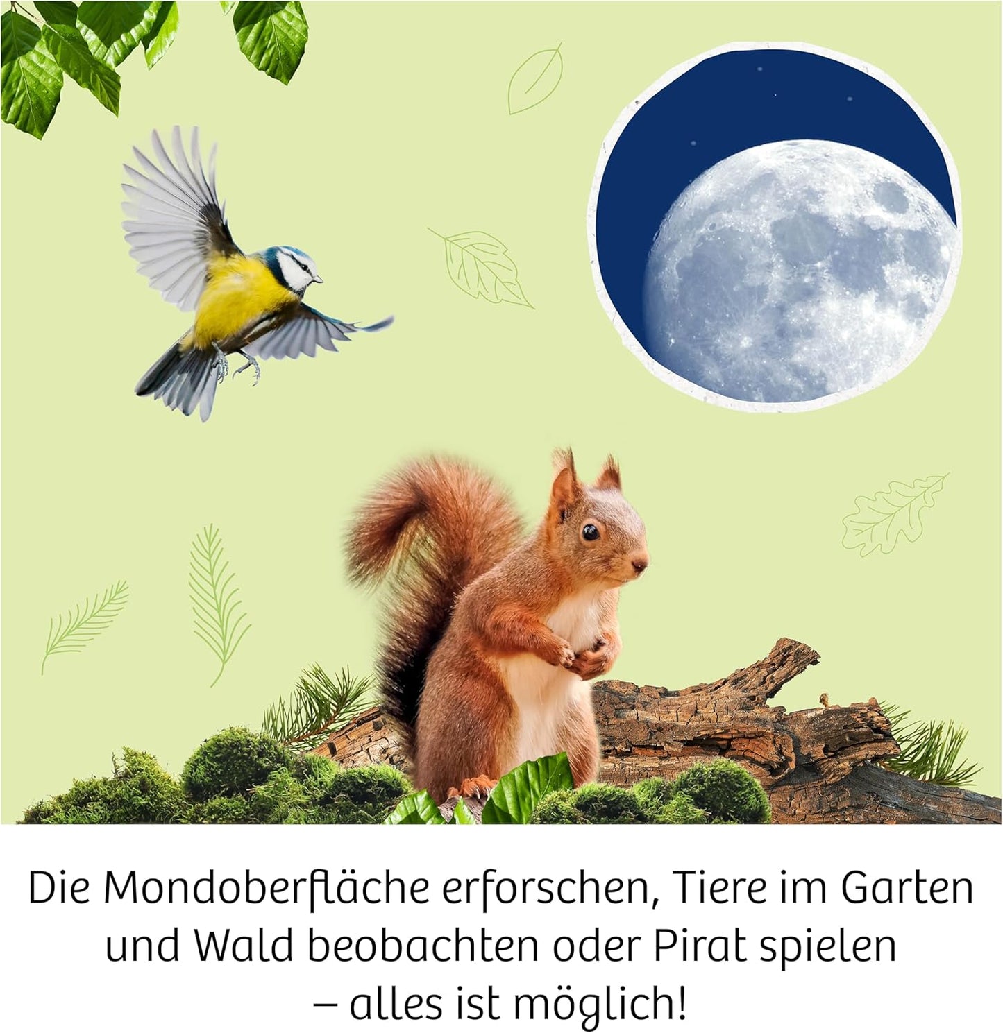 Kinder-Fernrohr mit 12-facher Vergrösserung, multilingual_Telescope