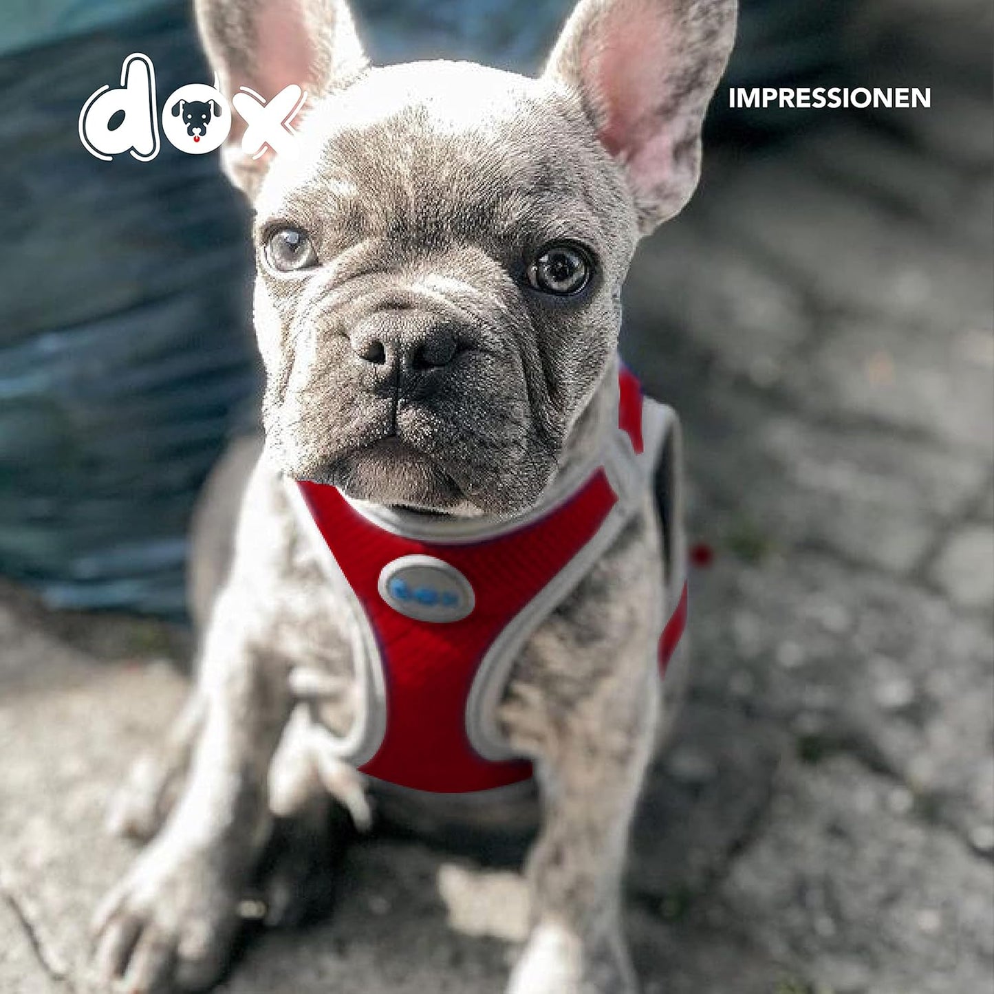 Reflektierendes Hundegeschirr, HALS: 42-58 cm | BRUST: 52-76 cm Rot