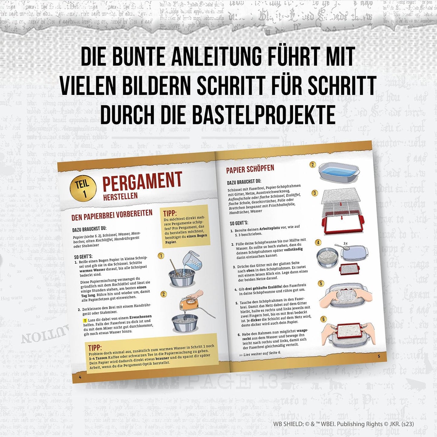Harry Potter - Brief & Siegel