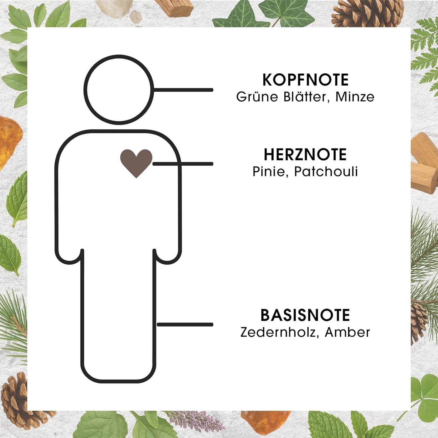 Raumduft Diffuser 6er-Pack Pinie & Grün Akzente, Pinie & Grüne Akzente 250 ml (6er Pack)