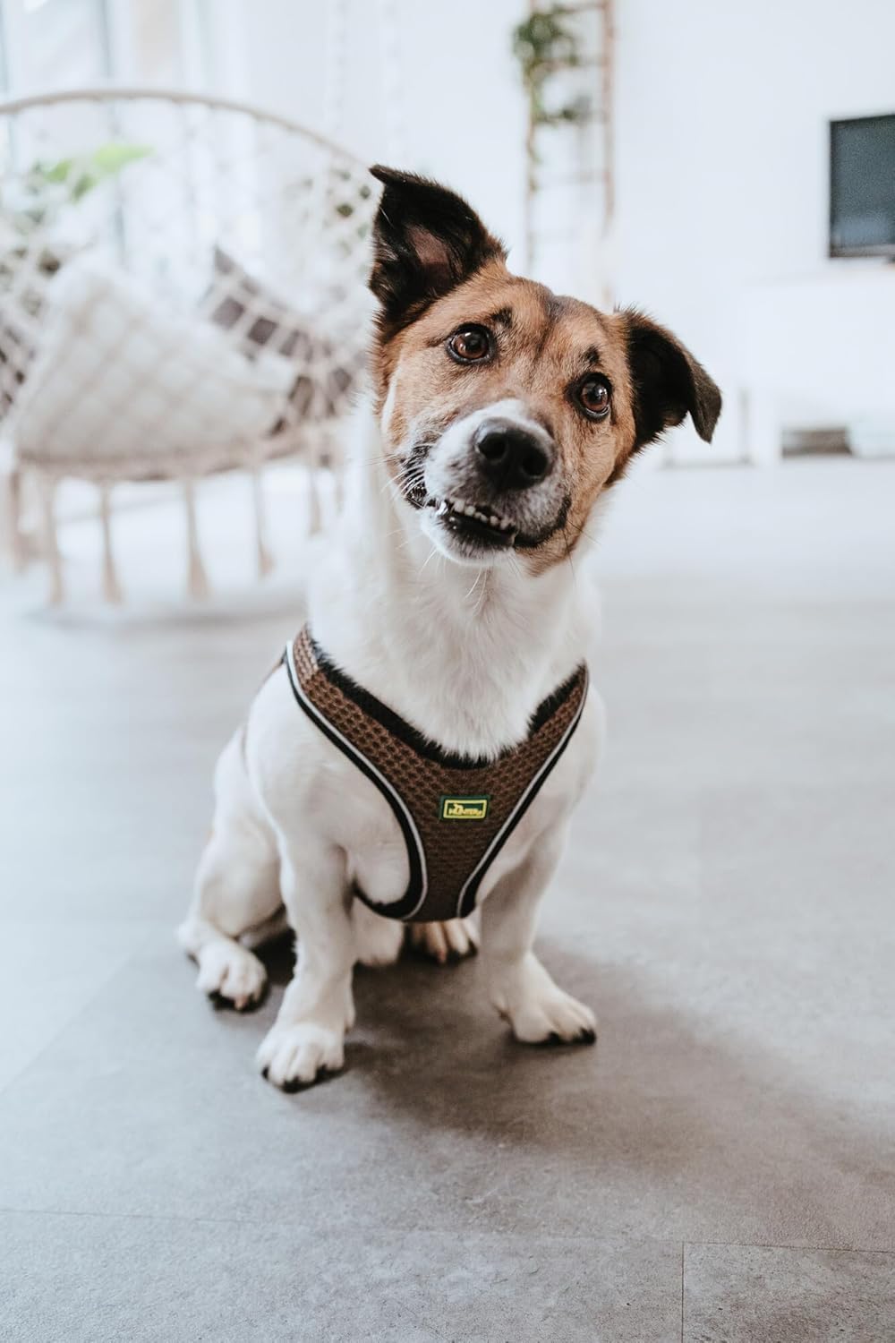 Hundegeschirr Hilo Comfort, braun XS-S