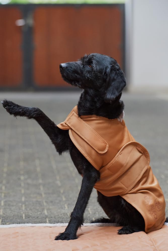 Winterjacke für Hunde, cognac 30