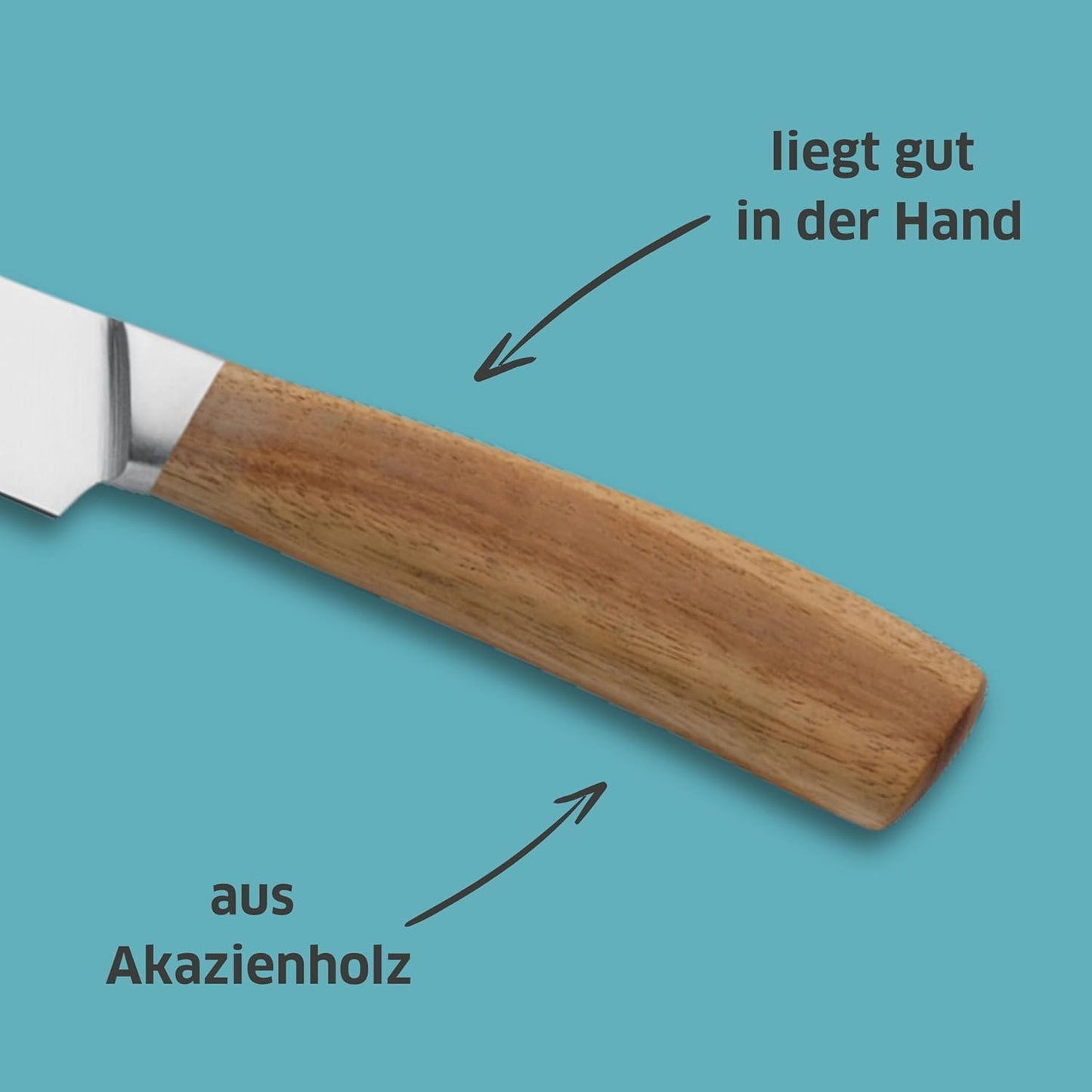 Fleischmesser, Fleischmesser