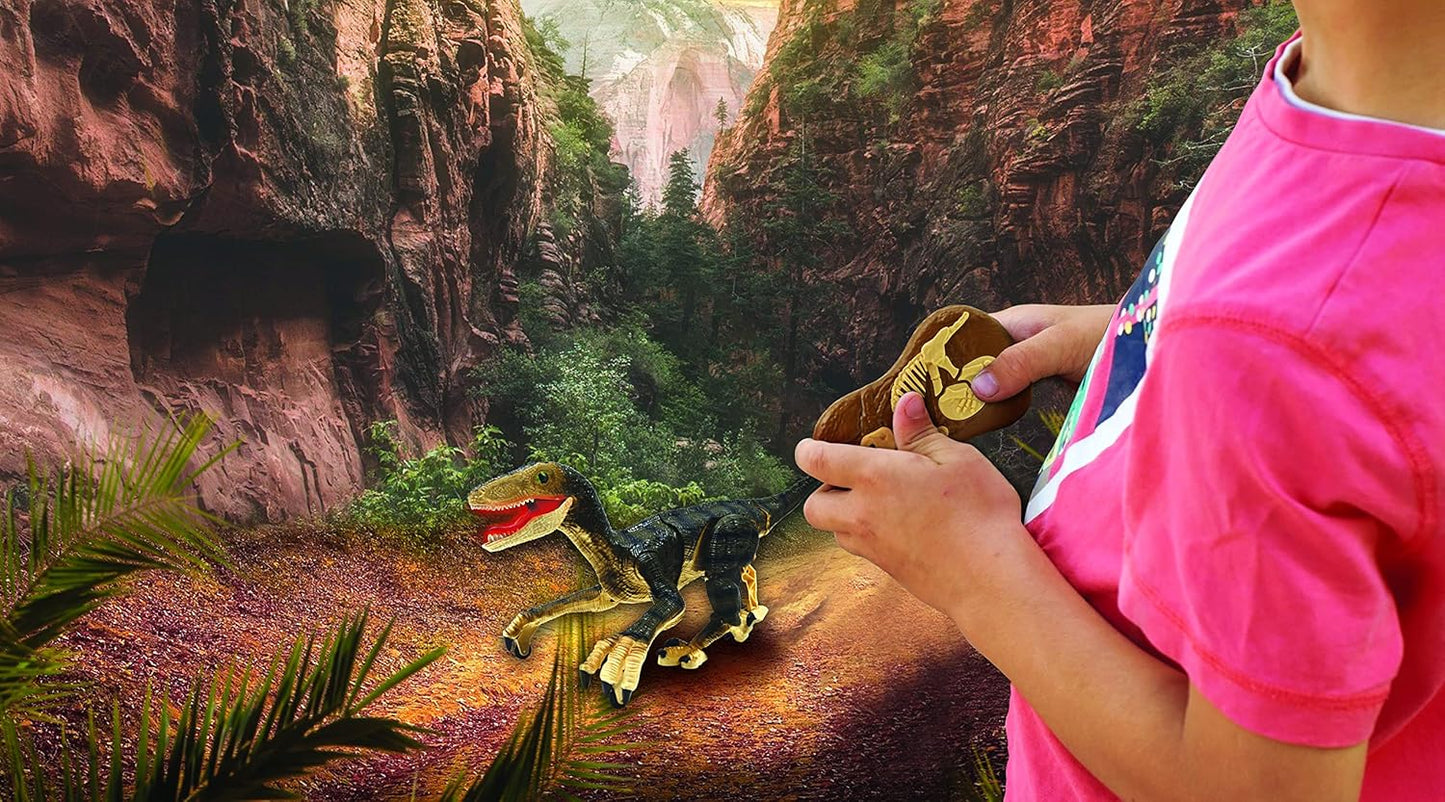 RC Raptor Dinosaurier mit Fernbedienung, DINO01