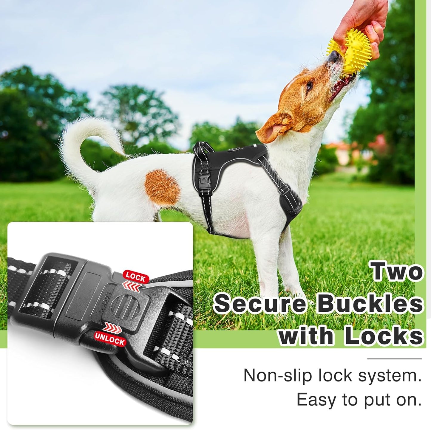 Hundegeschirr mit Halsband, Large Schwarz