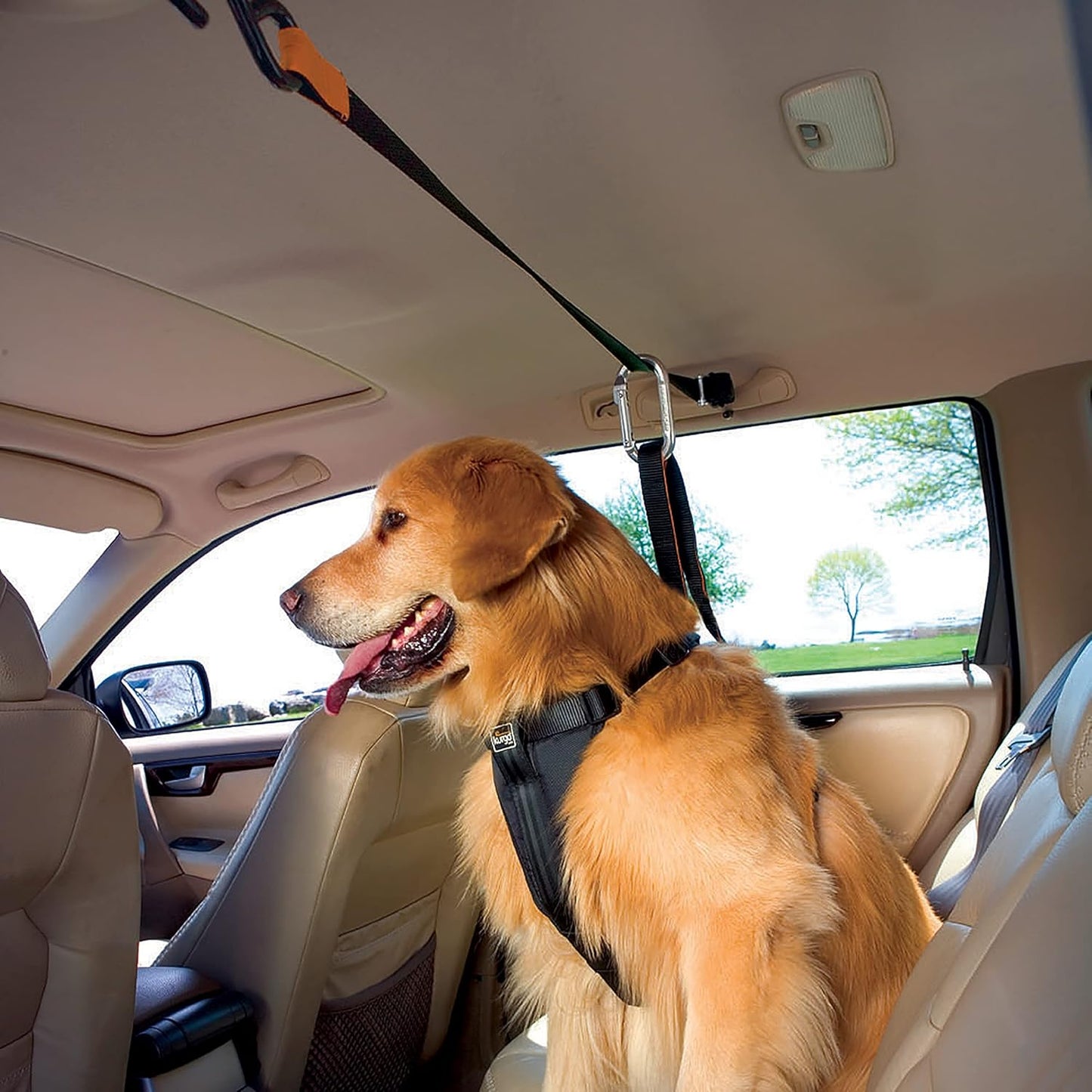 Auto-Sicherheitsgurt für Hunde mit Zip Line System, Zip Line - Karabiner Klip, Orange, Einzelpack