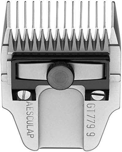 Scherkopf Favorita II GT 104
