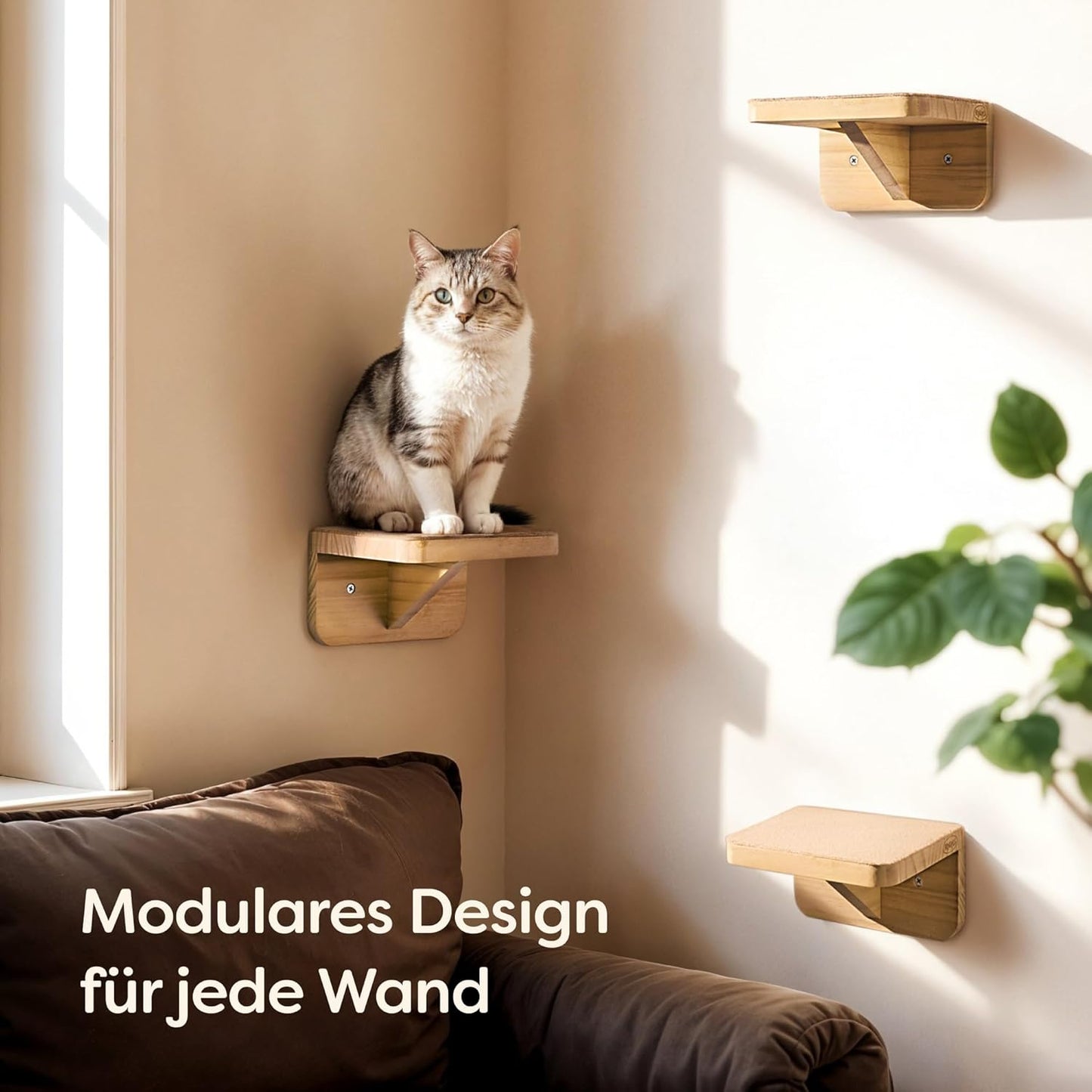 3-teiliges Katzen-Kletterwand-Set