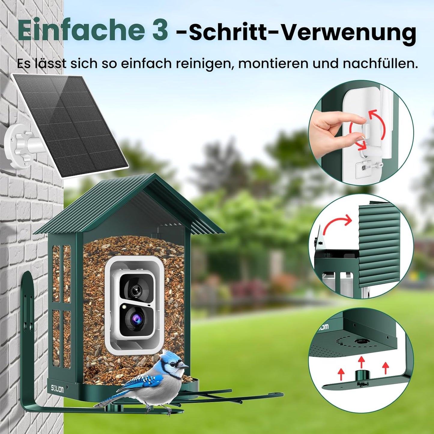Vogelhaus mit Kamera, Grün