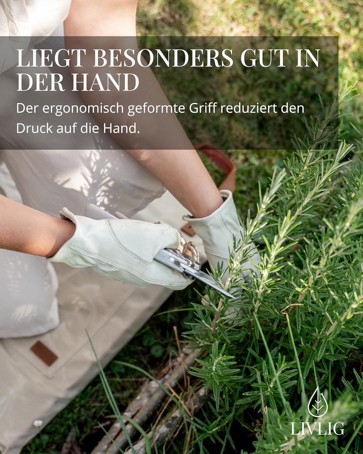 Greige Bypass-Gartenschere