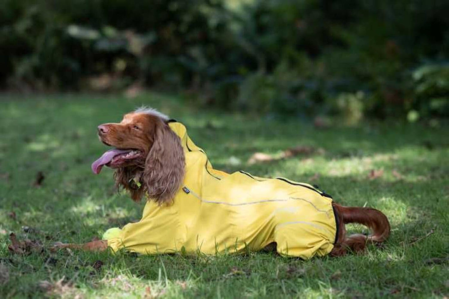 Hunde- und Welpenmantel Schutzoverall, gelb 25