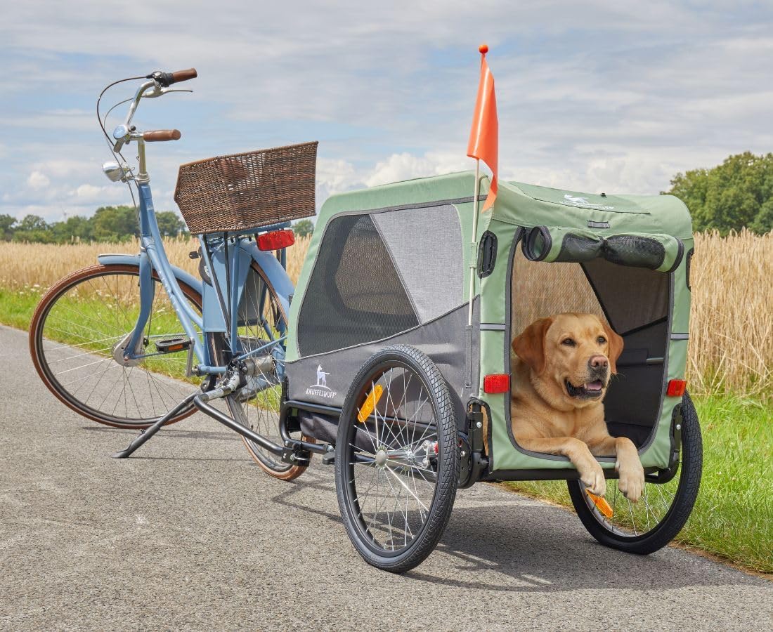 Veloanhänger & Buggy für Hunde