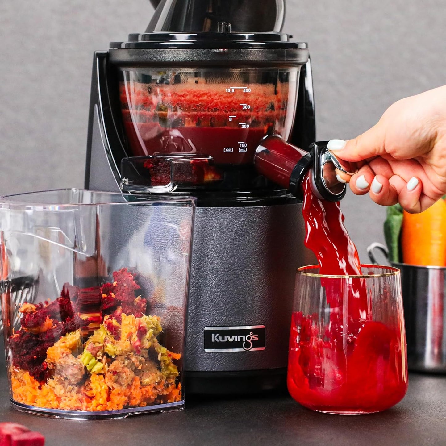 Slow Juicer EVO 820, Grau