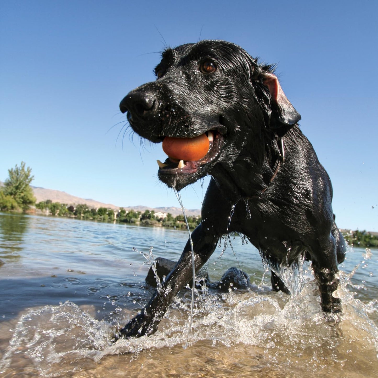 3er-Pack Schwimmende Apportiersteine, 3 Stück