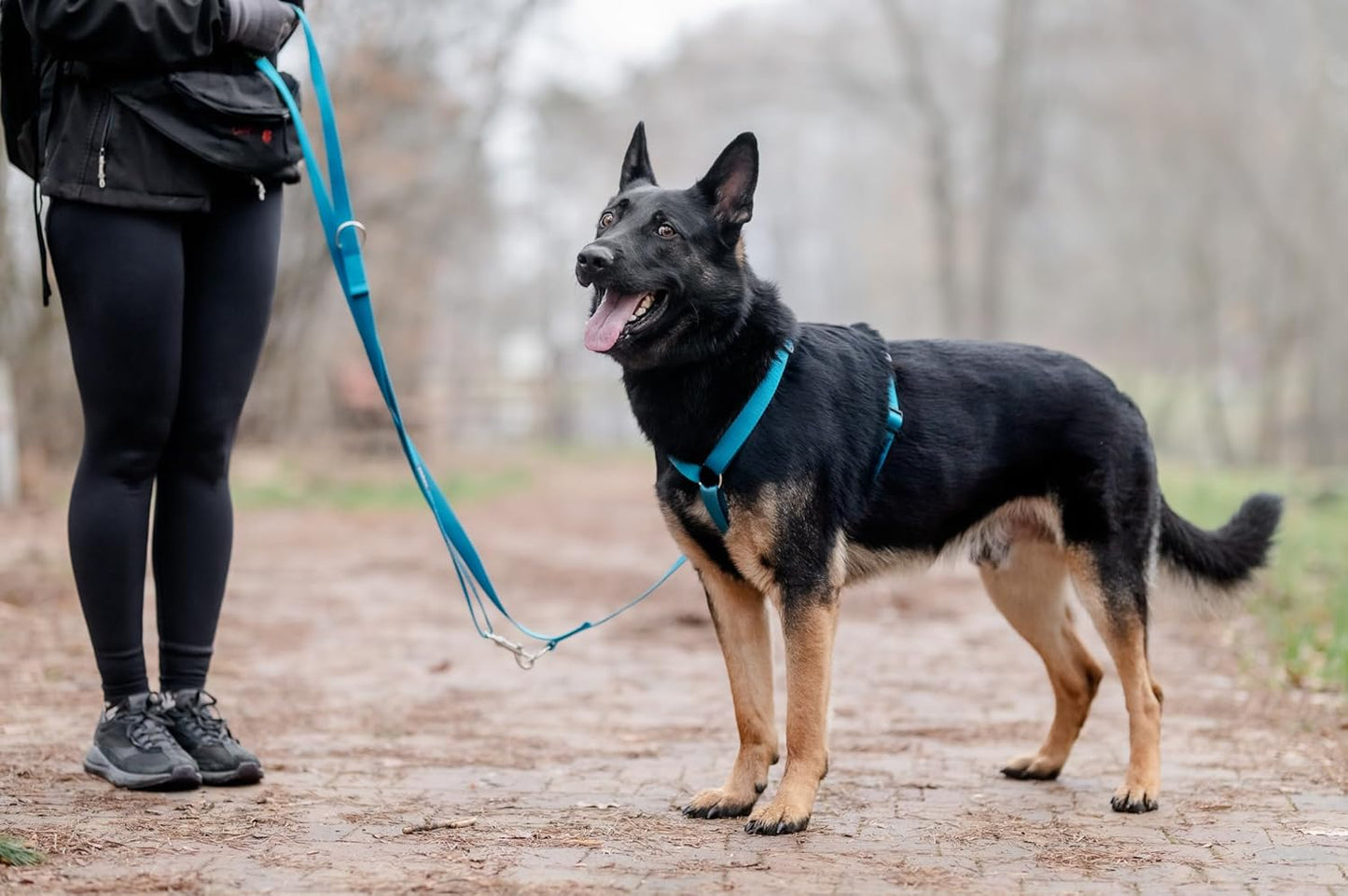 Guard Classic Hundegeschirr, L Meeres