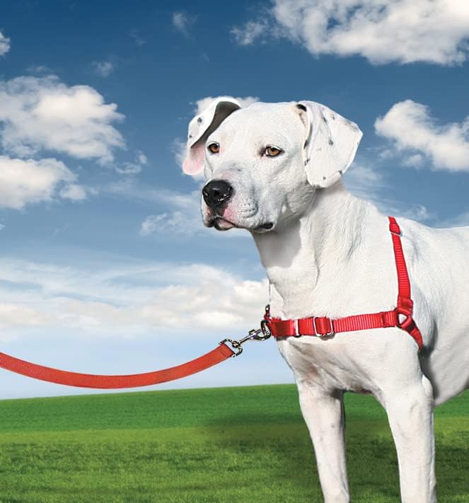 Easy Walk Anti-Zieh-Hundegeschirr mit 180 cm Leine, L Rot
