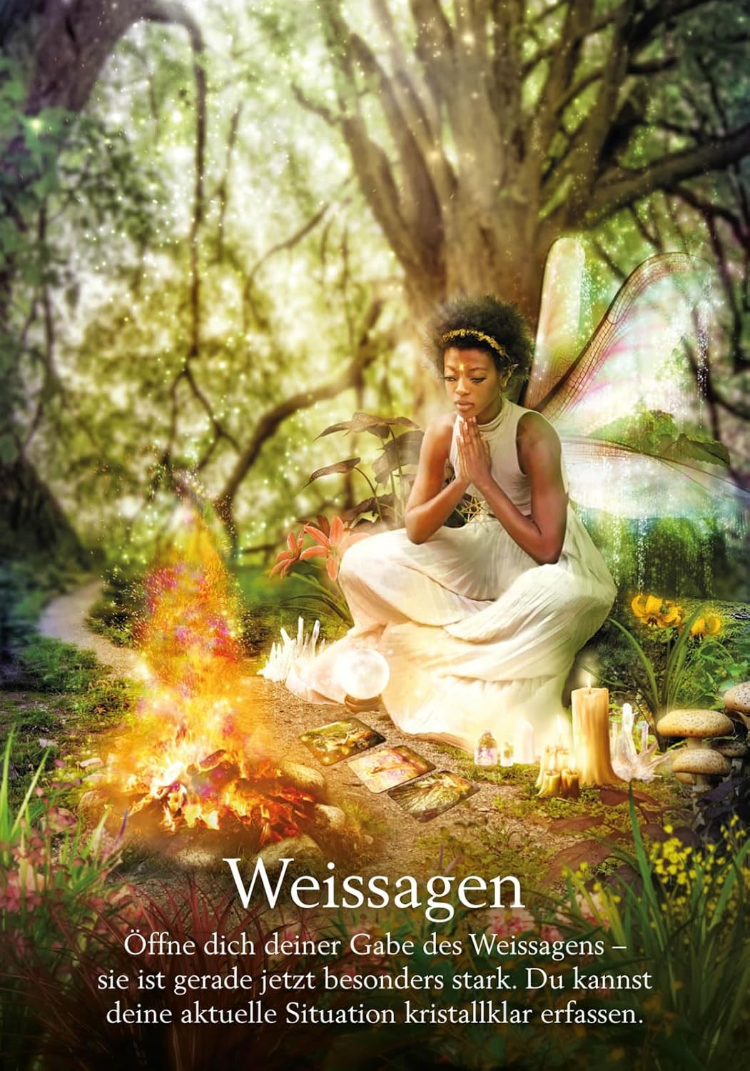Orakel der Feen, Taschenbuch