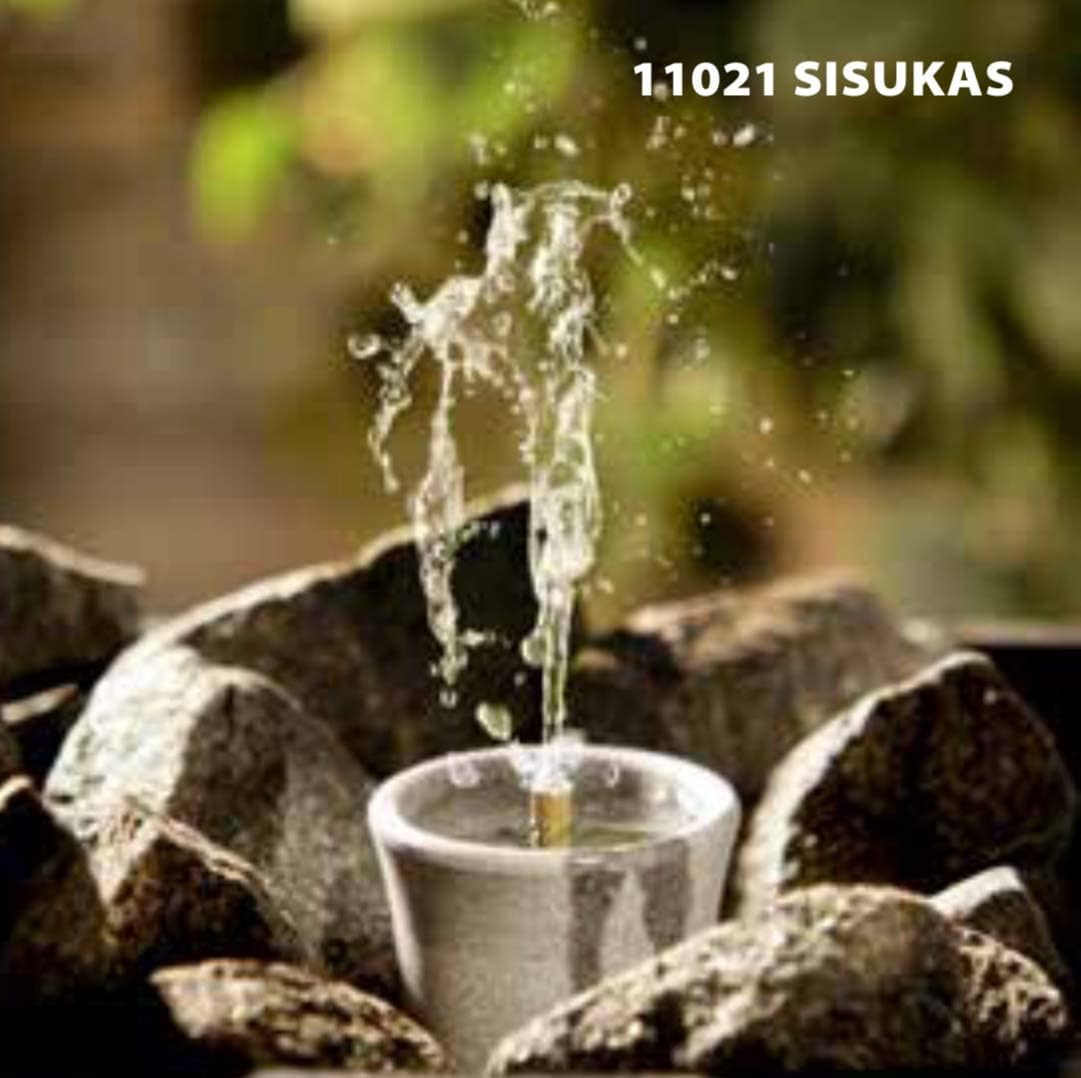 Saunabrunnen Sisukas