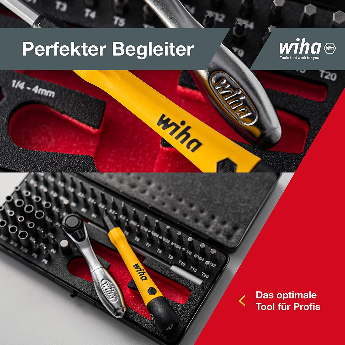 Bit-Satz Micro-Bit Set ESD
