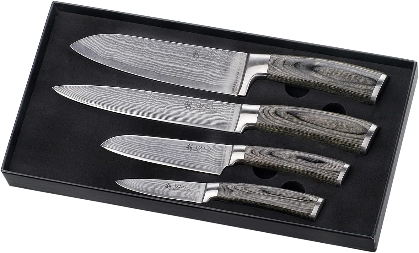 4er Profi Damastmesser-Set Edis