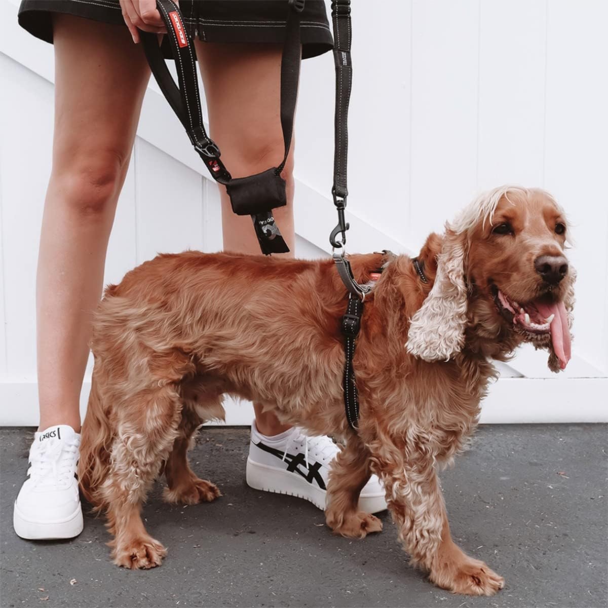 Crosscheck Harness, L (58 - 80cm) Schwarz