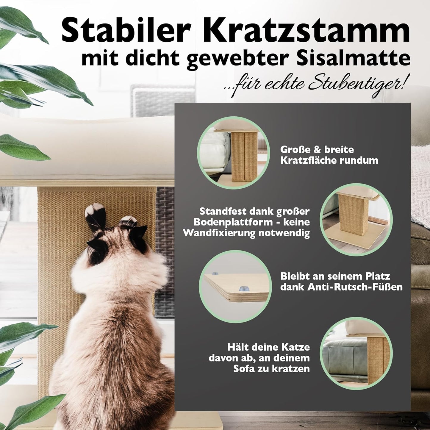 Kratzbaum mit breitem Kratzstamm und Katzenbett, Birke/beige