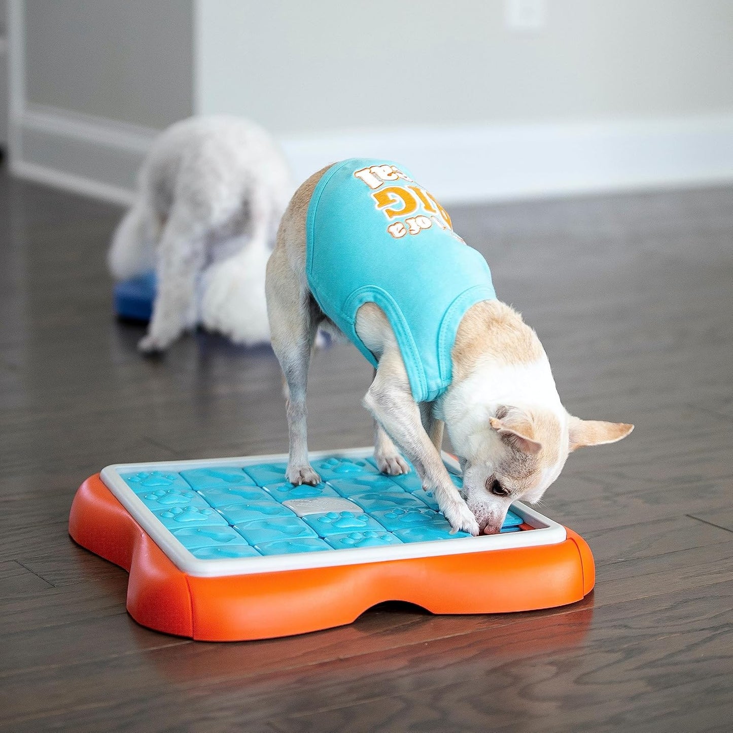 Challenge Slider Hundespielzeug-Puzzle, Challenge Slider Level 3 (Fortgeschritten)