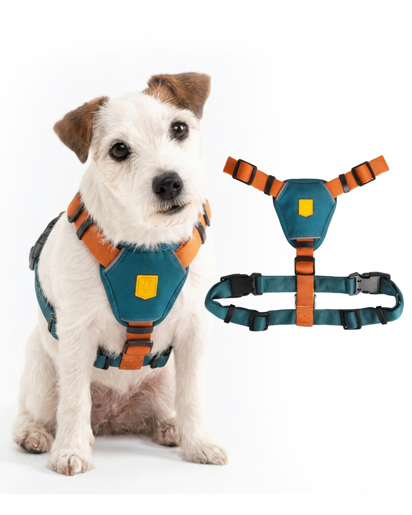 Color Block Hundegeschirr, Limetten-Mix XS
