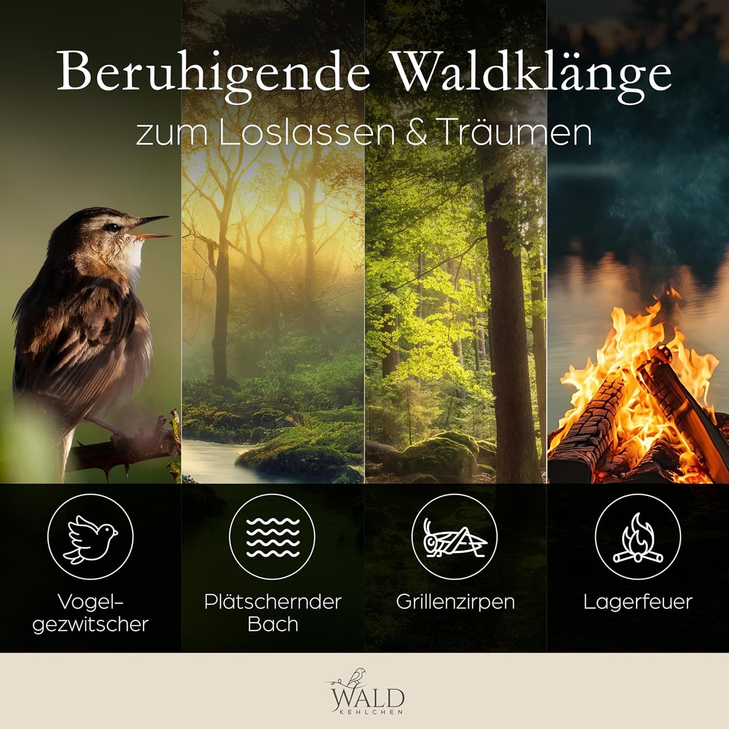 Vogelgezwitscher Soundbox mit Bewegungsmelder & Nachtlicht