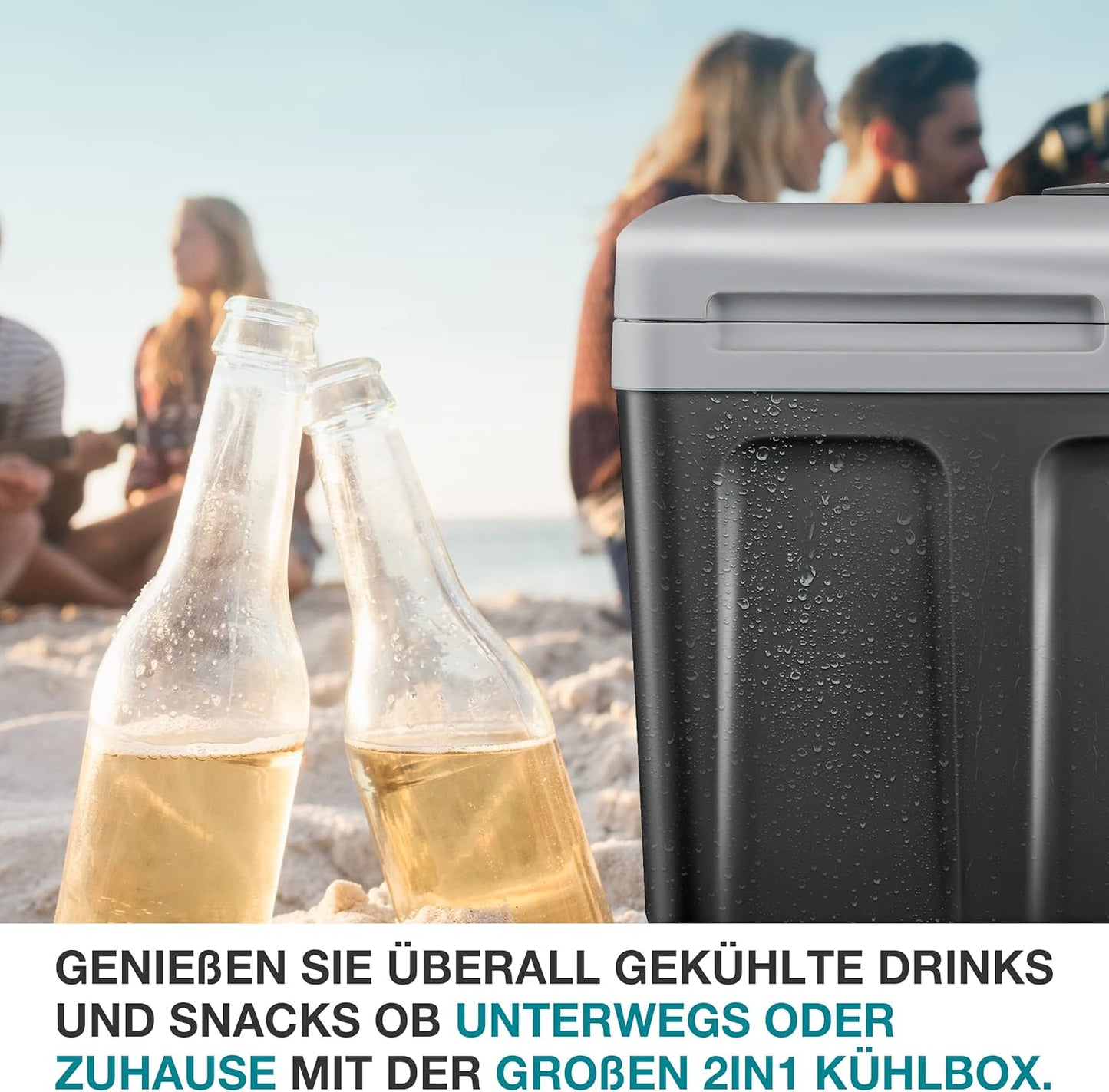 Kühlbox mit Kühl- und Heizfunktion, Grau
