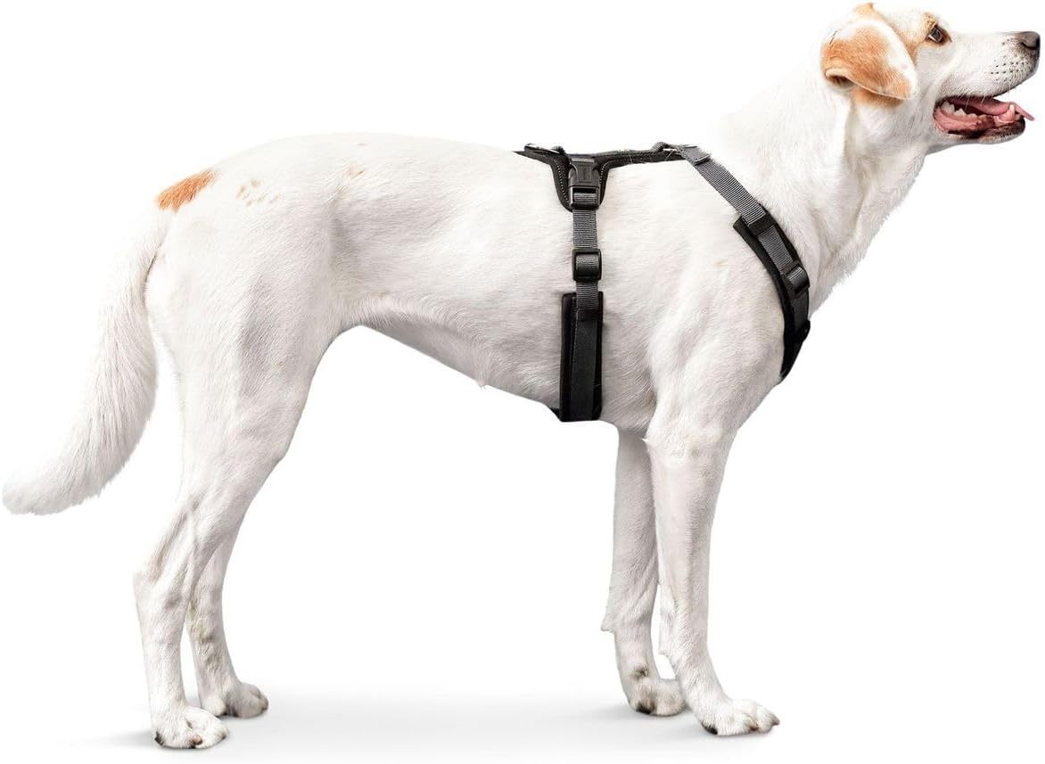 Verstellbares Hundegeschirr Maldon, schwarz / grau xs