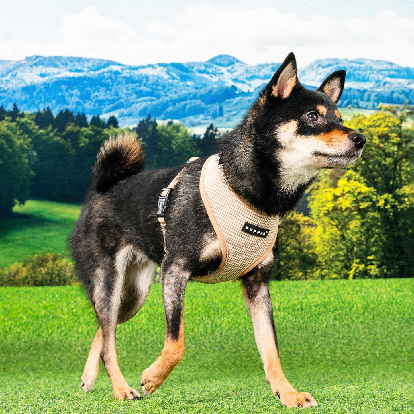 Hundegeschirr mit Hahnentrittmuster, Beige Medium