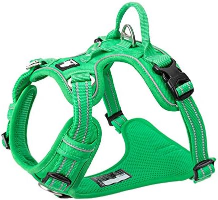 Truelove reflektierendes Hundegeschirr, M Grass Green