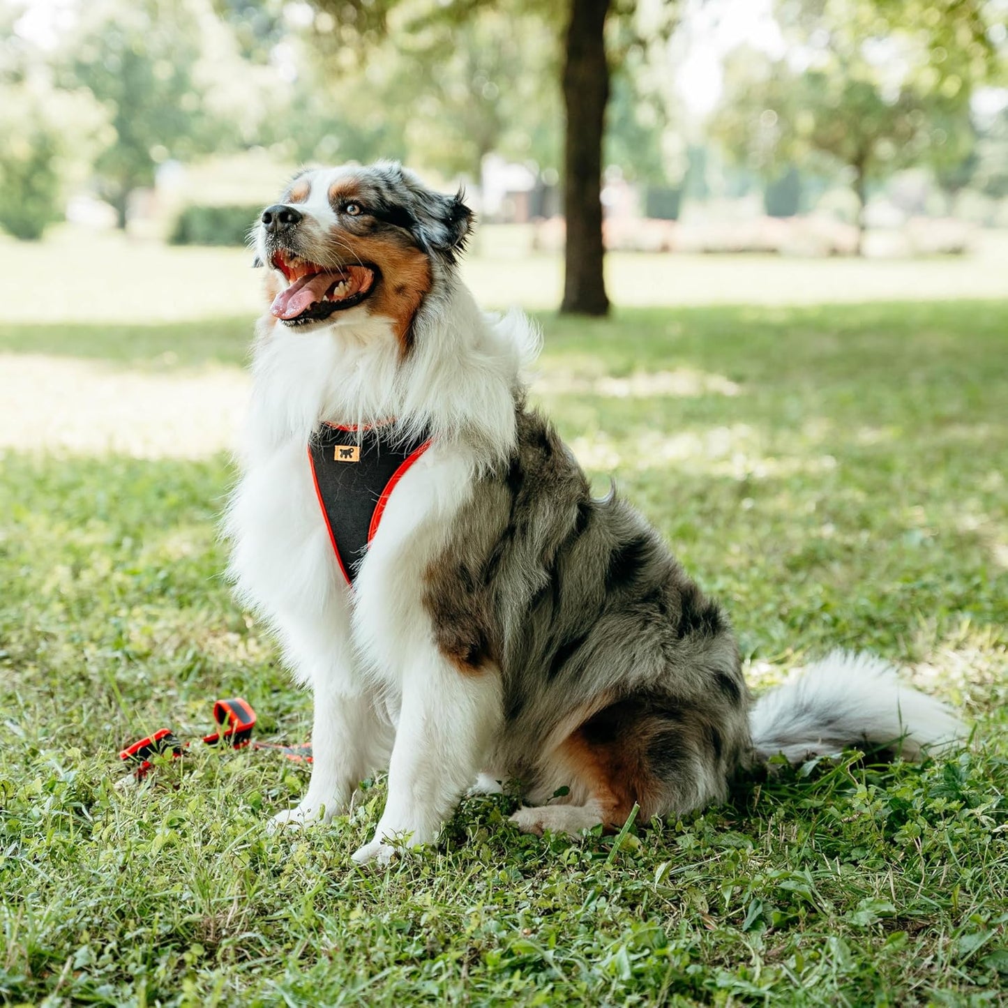 Verstellbares Hundegeschirr, Rot|Halsumfang: 50-60 cm/ Brustumfang: 70-80 cm