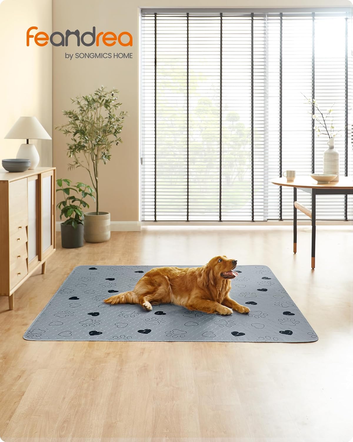 2er-Set Waschbare Hundematten, XXXL, XXXL (183 x 183 cm)